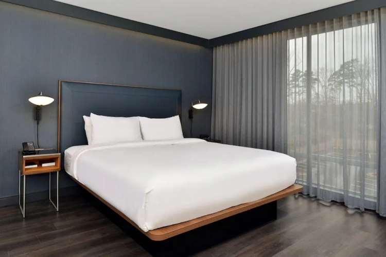 1 Bedroom Suite