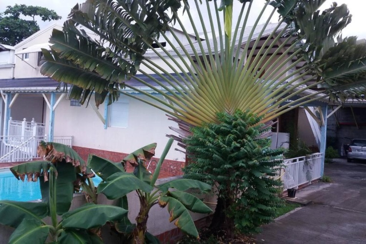Outside