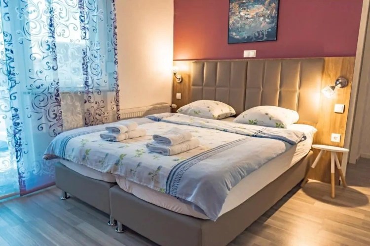 Deluxe Double room with river view
