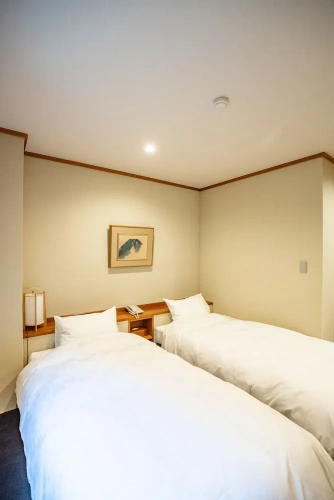 Economy Twin room