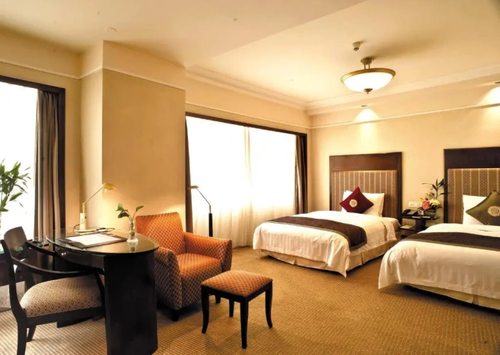 Deluxe Twin room with city view