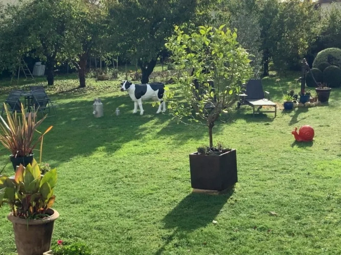 Standard Double room with garden view