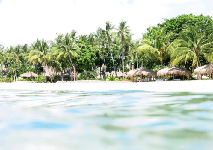 Pulchra - Philippines