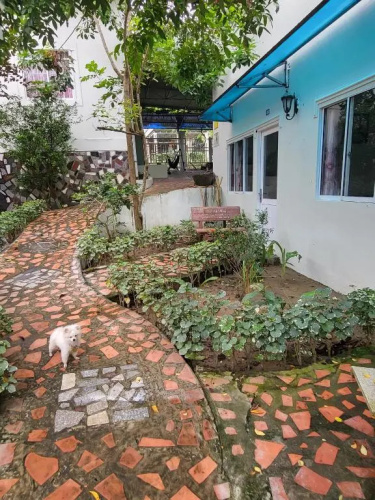 Davi hostel