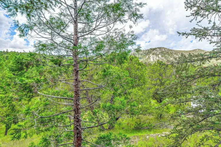 'ridgeview Adventure' - 14 Mi to Ski Apache!