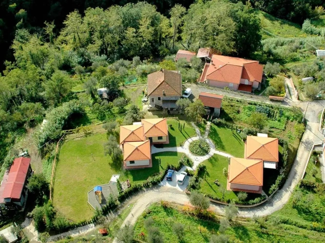 Cottage