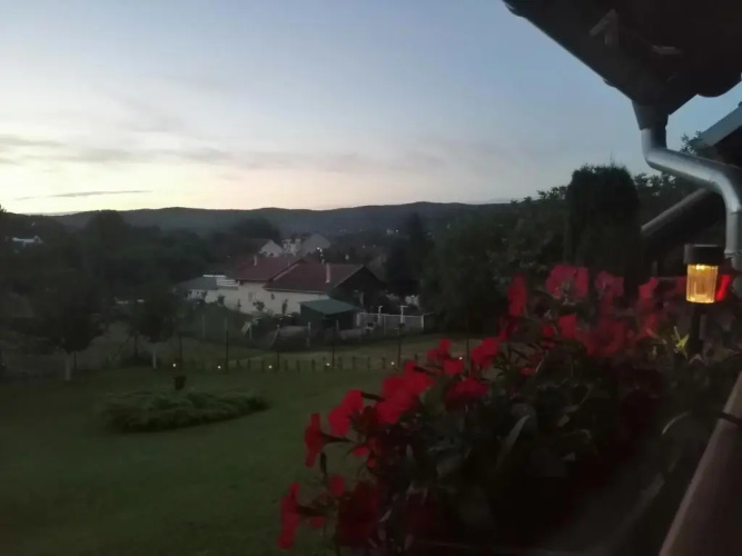 Garden 022