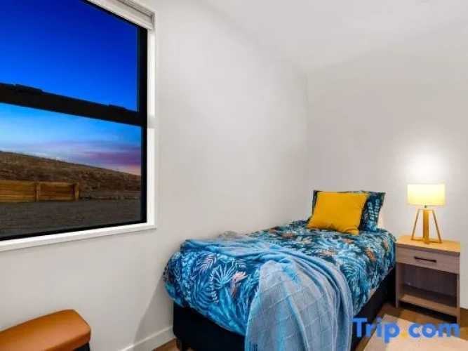 1 Bedroom Premium Triple Apartment