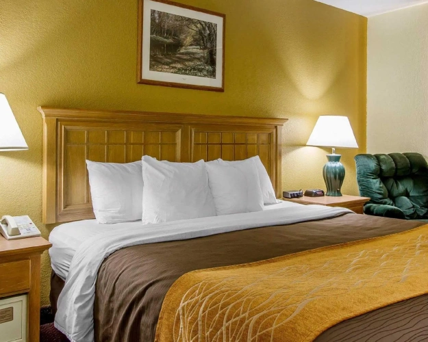 Standard Double room
