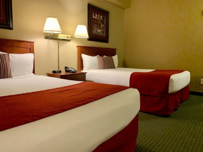 Deluxe Quadruple room