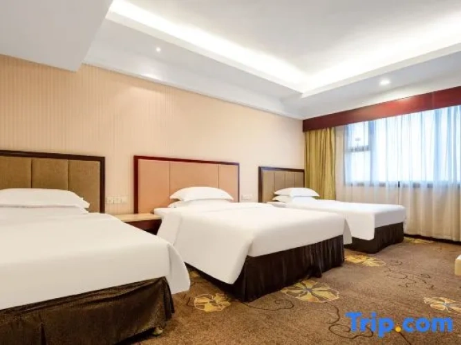 Superior Triple Suite