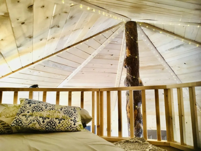 Cloudberry Cabin