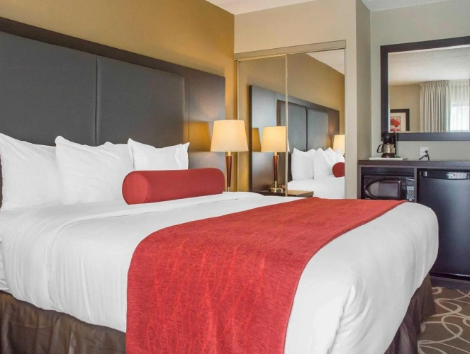 Standard Double room