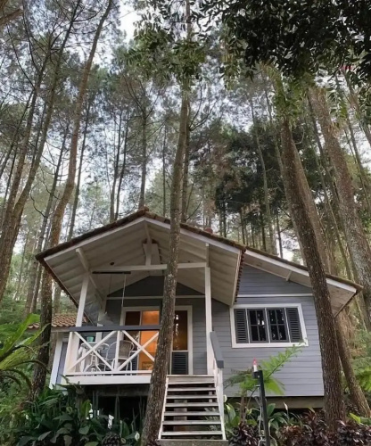 The Pine Forest Villas