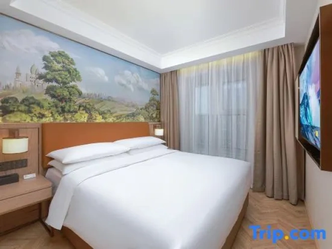 Superior Single Suite