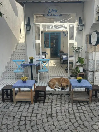 Lito Otel Sigacik