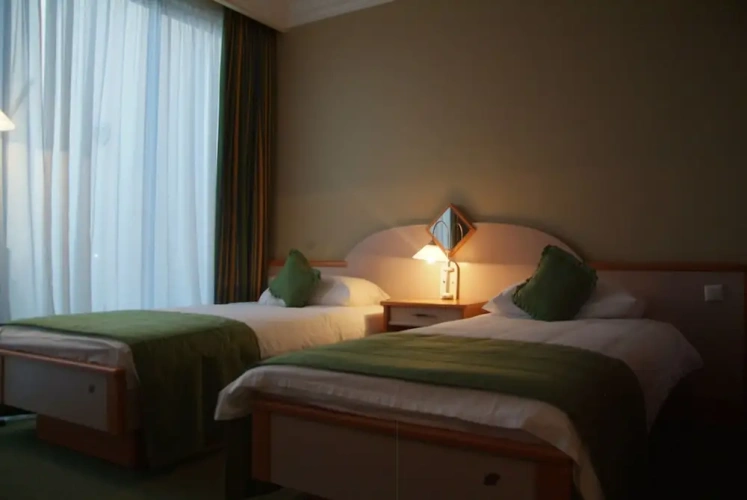 Superior Twin room with balcony and with lake view