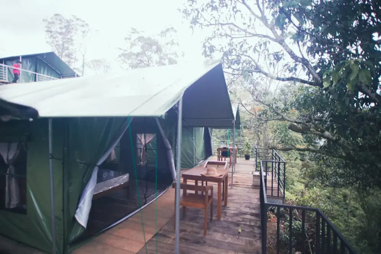 Radiance Ella Urban Camping