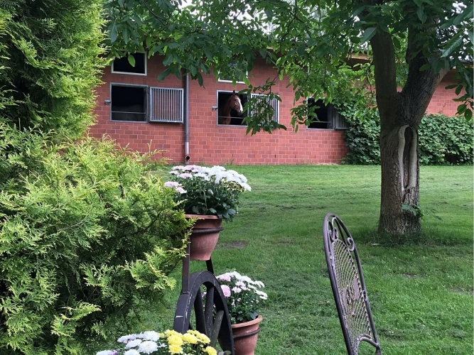 Cottage