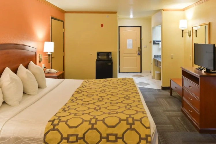 Double Studio Suite