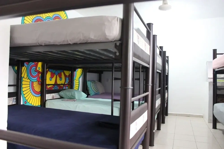 Bed in Dorm
