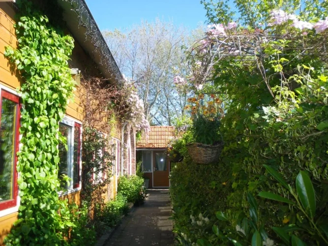 Apartment with garden view
