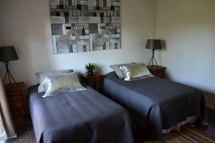 Standard Twin room with garden view