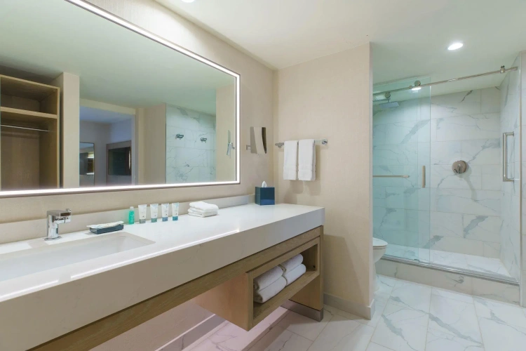 Executive Double Suite