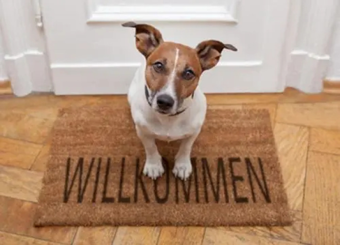 Villa Grenzschlößchen App. 5