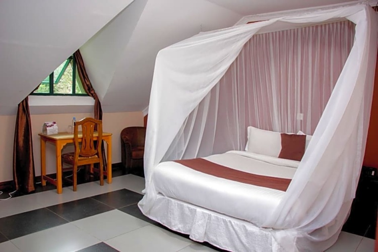 Standard Double room with view
