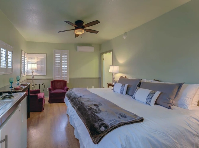 Luxury Double Suite with balcony and with garden view