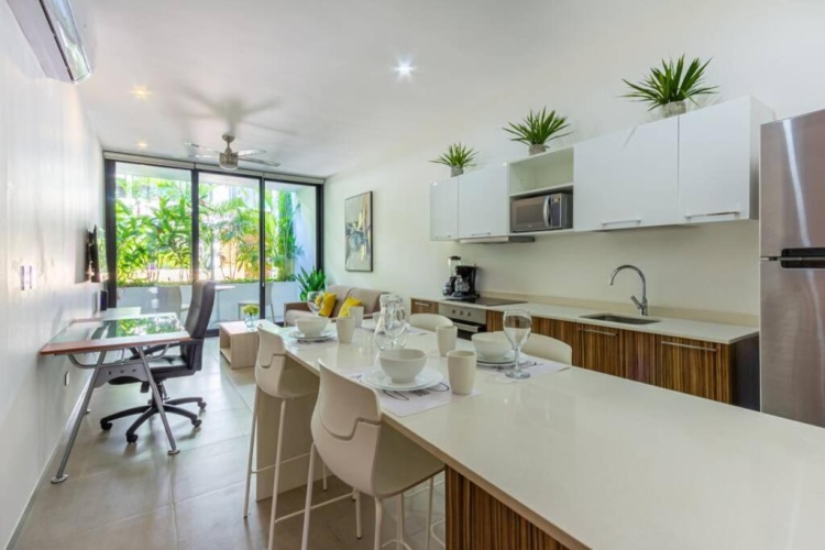 1 Bedroom Apartment