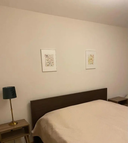 Bakuriani Cozy Villa #4
