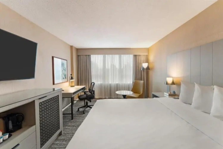 Double Junior Suite (Courtyard)