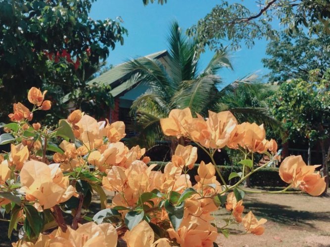 Bungalow