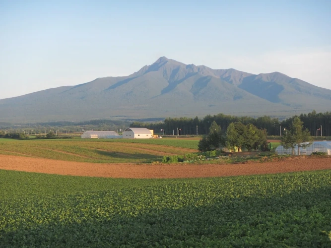 Economy Single room with mountain view