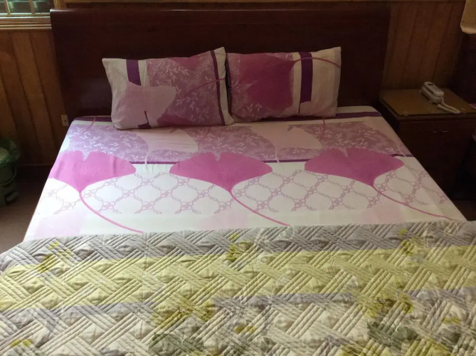 Hong Anh Hotel - Lang Ha