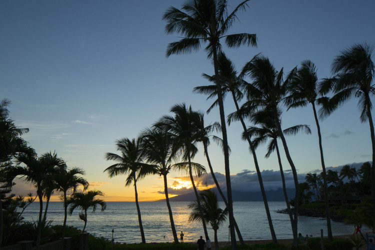 Napili Kai Beach Resort photo 12