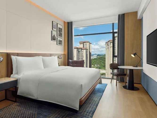 Superior Double room with city view