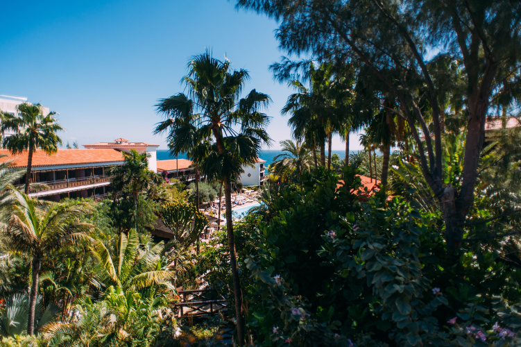 Parque Tropical photo 23