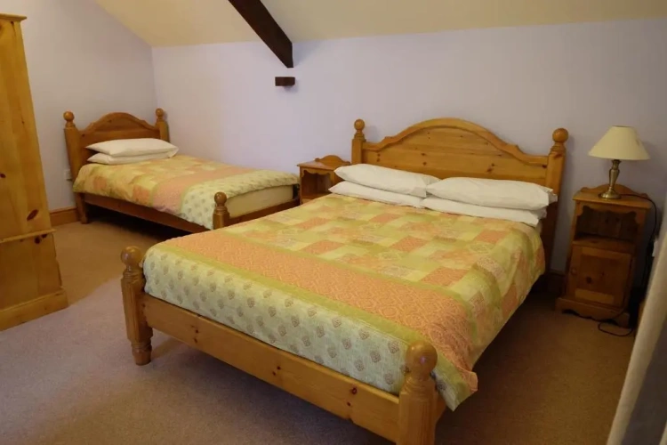 Deluxe Triple room