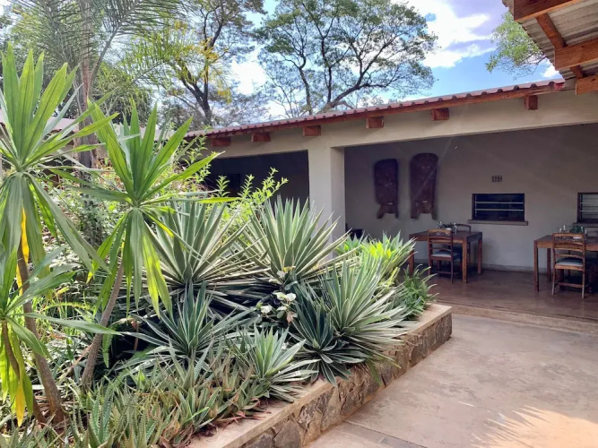 Mitengo House