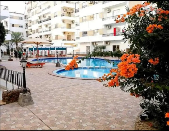 Studio Lotus compound near Touristic Mamsha