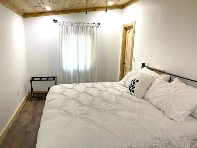 Modern Style Peaceful Tranquility Pet Friendly