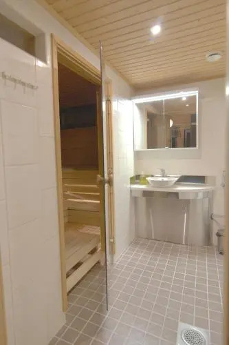 Tunturipöllö 2