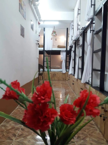 Hostel Wizaya for backpacker