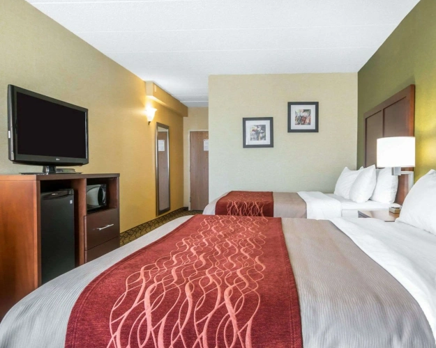 Standard Quadruple room