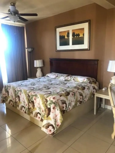 Single Junior Suite