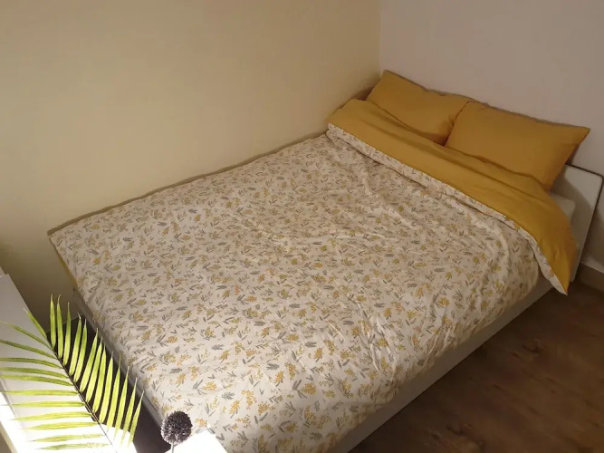 Cheese Guesthouse - Hostel