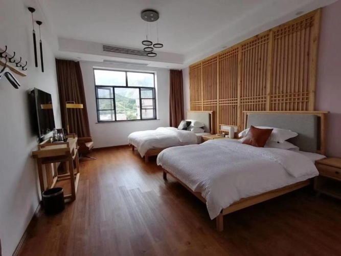 Deluxe Double room with balcony and with mountain view